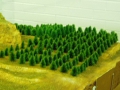 011-pine_for.jpg
