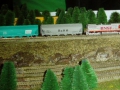 003-bnsf_freight_pine_trees.jpg