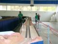 123.JPG