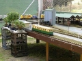 007-WillyabrupYard2.jpg